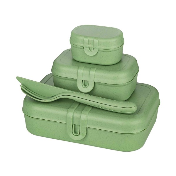 Koziol PASCAL READY Lunchbox-Set nature leaf green - A