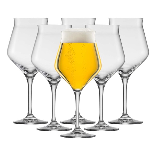 Eisch Craft Beer Experts Kelch 435 ml 6er Set