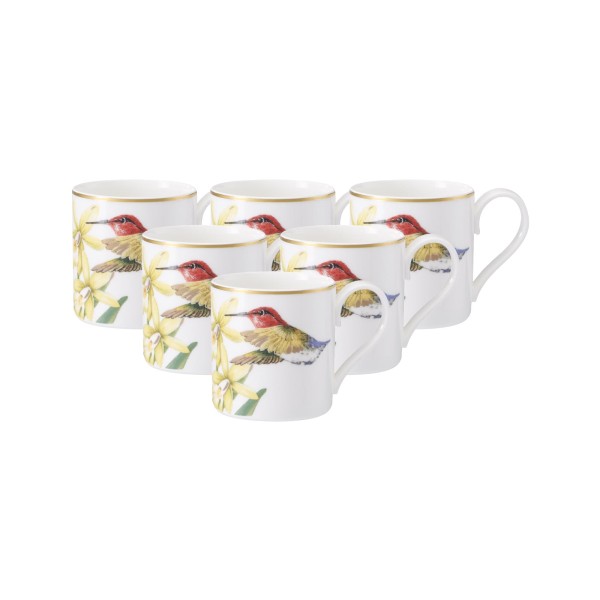 Villeroy & Boch Amazonia Mokka- / Espressotasse 80 ml 6er Set - DS