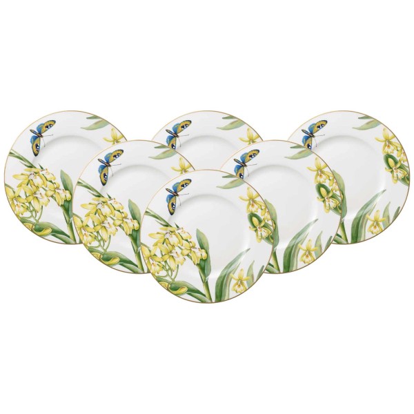 Villeroy & Boch Amazonia Anmut Frühstücksteller ø 22,5 cm 6er Set - DS