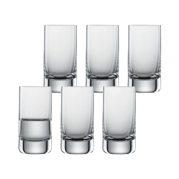 Schott Zwiesel CONVENTION Schnapsglas 50 ml 6er Set - A