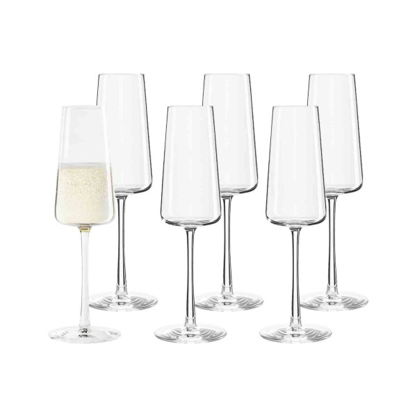 Stölzle Lausitz POWER Champagnerglas 240 ml 6er Set