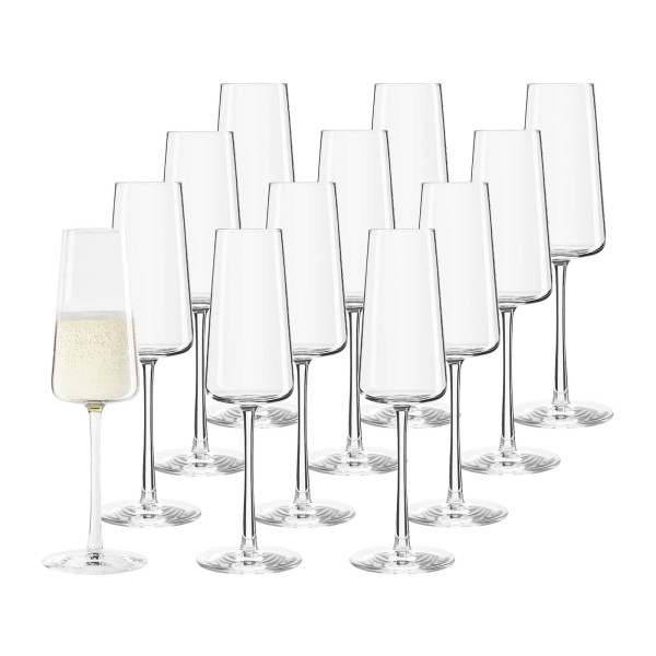 Stölzle Lausitz POWER Champagnerglas 240 ml 12er Set