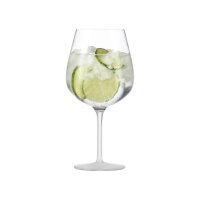 Eisch SECCO FLAVOURED Gin & Tonic 2er Set