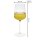 Spiegelau Definition Universalglas 550 ml 2er Set + Poliertuch
