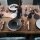 Villeroy & Boch Manufacture Rock Gourmetteller weiß 32 cm 6er Set