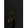 Villeroy & Boch Manufacture Collier Vase Carré 26 cm - noir