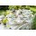 Villeroy & Boch Boston Coloured Rotweinglas 310 ml 4er Set - Grün