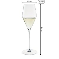 Spiegelau Definition Champagnerglas 250 ml 2er Set