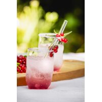 Eisch Gentleman Glashalm Set kurz 4 Glashalme + Bürste