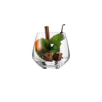Eisch Sky SensisPlus Whiskygläser 4er Set