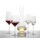 Zwiesel Glas PURE Sektglas 6er Set