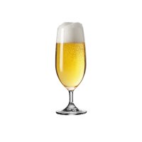 Leonardo DAILY Bierglas 360 ml 12er Set