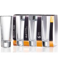 Ritzenhoff & Breker SKOL Stamper 65 ml 12er Set