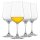 Schott Zwiesel BAR SPECIAL Whisky Nosing Tasting Gläser 4er Set
