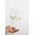 Zwiesel Glas DUO Allround Weinglas 6er Set