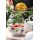 Villeroy & Boch Mariefleur Basic French Bol 15 x 13 cm 4er Set