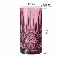 Nachtmann Noblesse Longdrinkgläser 2er Set - Berry