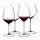 Riedel VELOCE Rotweingläser Set 4-teilig