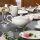 Villeroy & Boch Anmut Teekanne 1 l