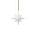 like. by Villeroy & Boch Winter Glow Ornament Stern