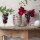 Villeroy & Boch Winter Bakery Delight Bol Sternschnuppe ø 14 cm