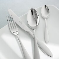 Villeroy & Boch Arthur gebürstet Tafelbesteck...