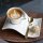 Villeroy & Boch NewWave Caffè Kaffee Unterteller 20 x 14 cm 6er Set