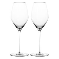 Spiegelau Hi-Lite Champagnerglas 347 ml 2er Set
