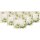 Villeroy & Boch Amazonia Suppenteller 24 x 21 cm 6er Set