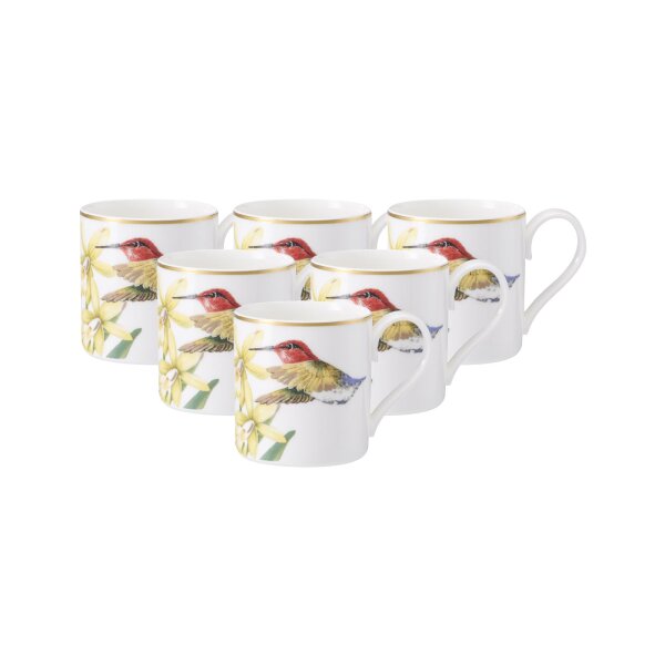 Villeroy & Boch Amazonia Mokka- / Espressotasse 80 ml 6er Set