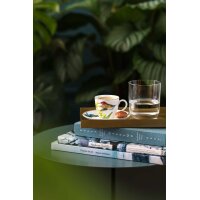 Villeroy & Boch Amazonia Espressotasse mit Untertasse...