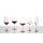 Schott Zwiesel TULIP Sektglas 283 ml 4er Set
