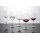 Schott Zwiesel FORTÉ Burgunderglas 732 ml 4er Set