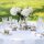 Villeroy & Boch Audun Ferme Milch & Zucker Set 2-teilig