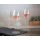 Riedel VELOCE Rosé Weinglas 2er Set + Poliertuch