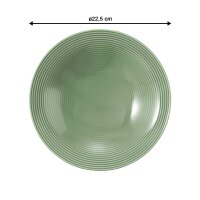 Seltmann Weiden Beat Color Glaze Suppenteller ø 22,5 cm 6er Set - Salbeigrün
