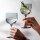 like. by Villeroy & Boch Like Glass Wein- und Sektgläser Set 4-teilig - Sage