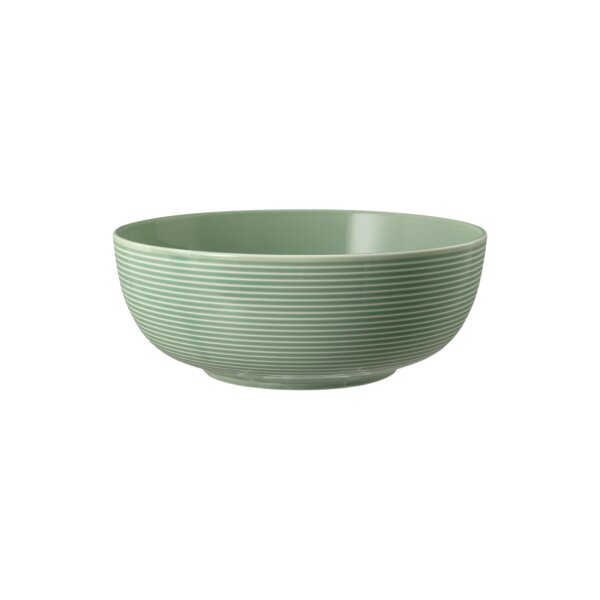 Seltmann Weiden Beat Color Glaze Foodbowl ø 20,4 cm - Salbeigrün