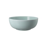 Seltmann Weiden Beat Color Glaze Foodbowl ø 20,4 cm - Arktisblau