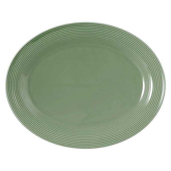 Seltmann Weiden Beat Color Glaze Servierplatte oval 35 x 28 cm - Salbeigrün