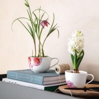 Villeroy & Boch Rose Garden Kaffeetasse 160 ml 6er Set