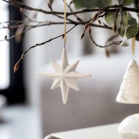 like. by Villeroy & Boch Winter Glow Ornament Stern...