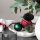 Villeroy & Boch Toys Delight Schale ø 16,3 cm 6er Set