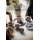 Seltmann Weiden Amina Teetasse 0,22 l 6er Set - Seladon