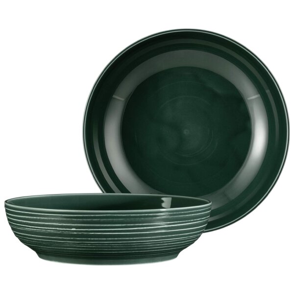 Seltmann Weiden Terra Foodbowl ø 25,5 cm 2er Set - Moosgrün