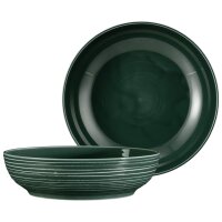 Seltmann Weiden Terra Foodbowl ø 25,5 cm 2er Set - Moosgrün