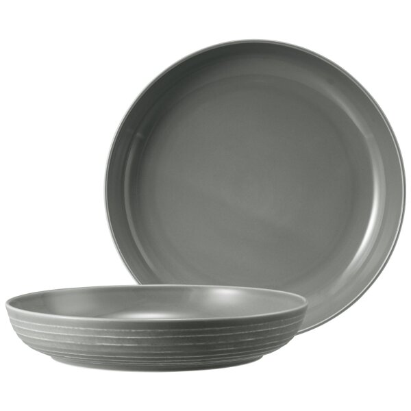 Seltmann Weiden Terra Foodbowl ø 28,4 cm 2er Set - Perlgrau