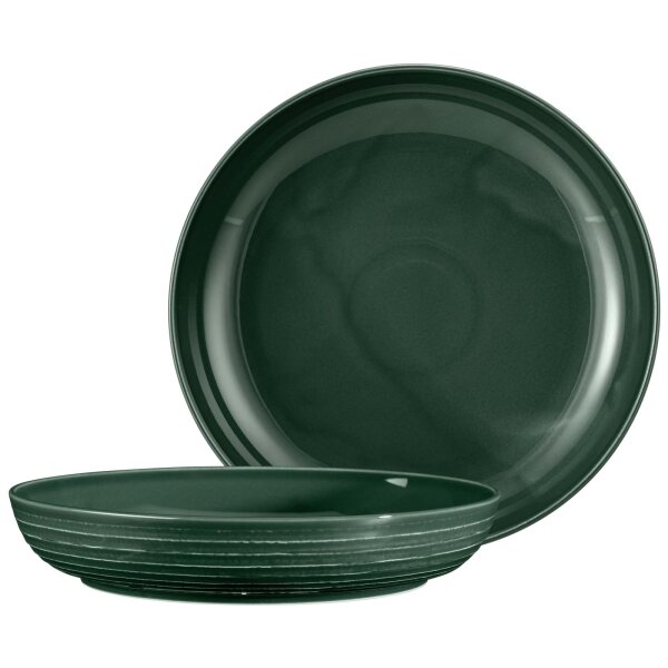 Seltmann Weiden Terra Foodbowl ø 28,4 cm 2er Set - Moosgrün