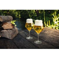 Eisch Craft Beer Experts Kelch 435 ml 6er Set